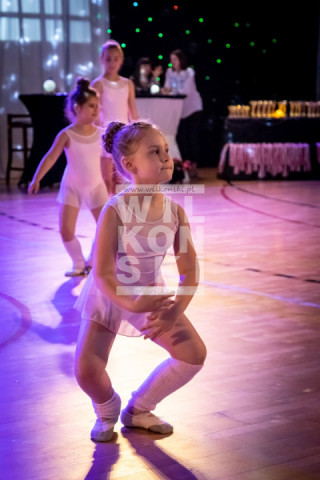 Sosnowiec_Pokaz_025