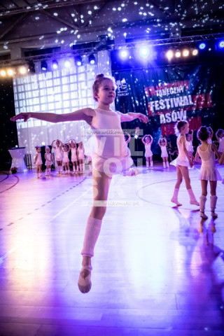 Sosnowiec_Pokaz_030