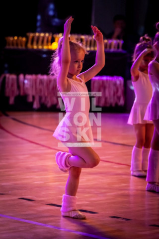 Sosnowiec_Pokaz_039