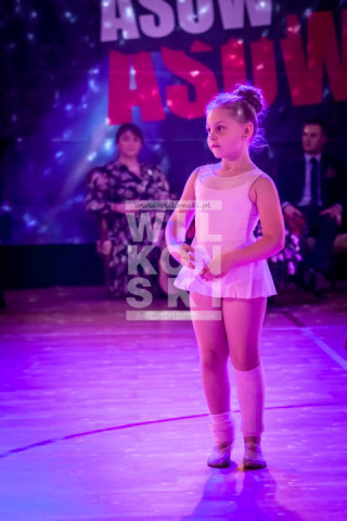 Sosnowiec_Pokaz_048