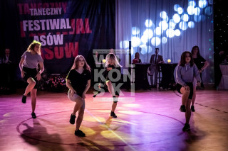 Sosnowiec_Pokaz_125